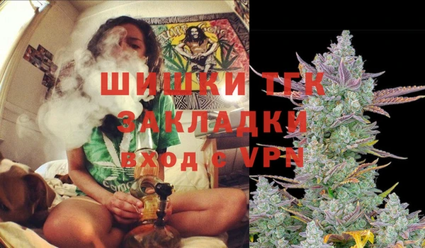 шишки Нязепетровск