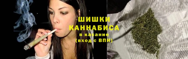 шишки Нязепетровск