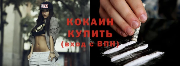 шишки Нязепетровск