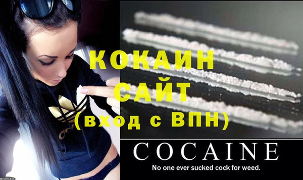 шишки Нязепетровск