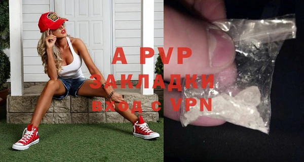 a pvp Пересвет