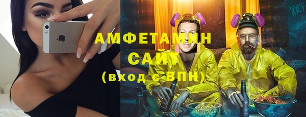 шишки Нязепетровск