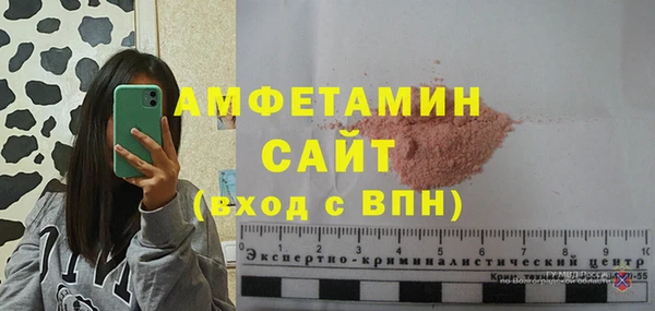 шишки Нязепетровск