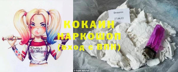 mdpv Няндома