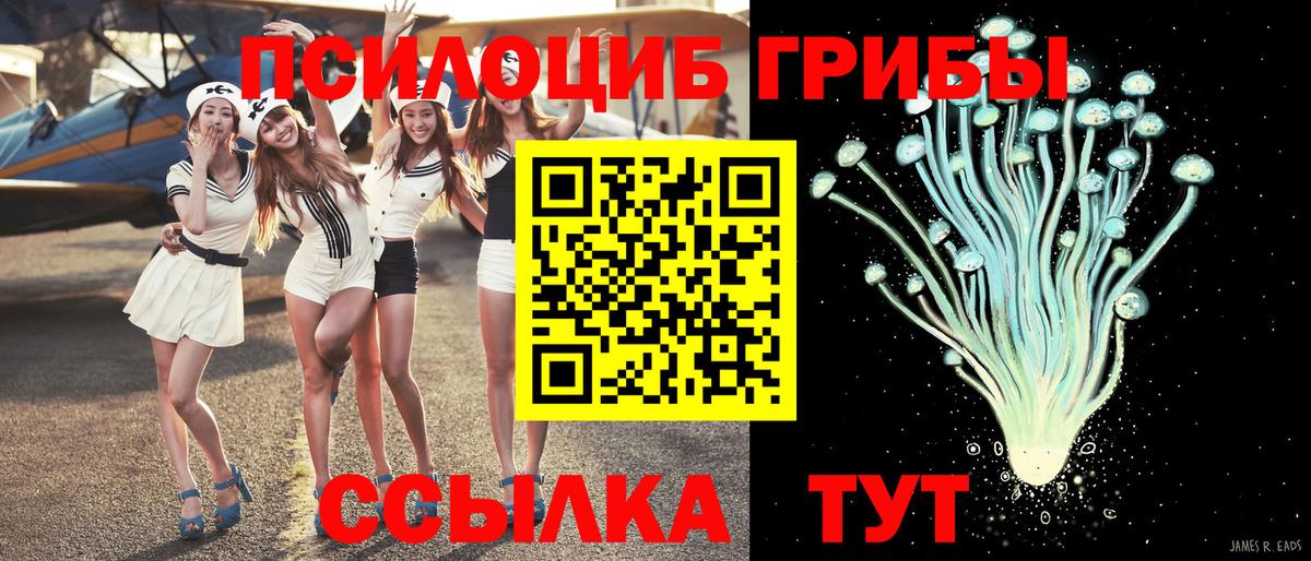 Галлюциногенные грибы Psilocybe  Псилоцибиновые грибы Psilocybe  Апшеронск 