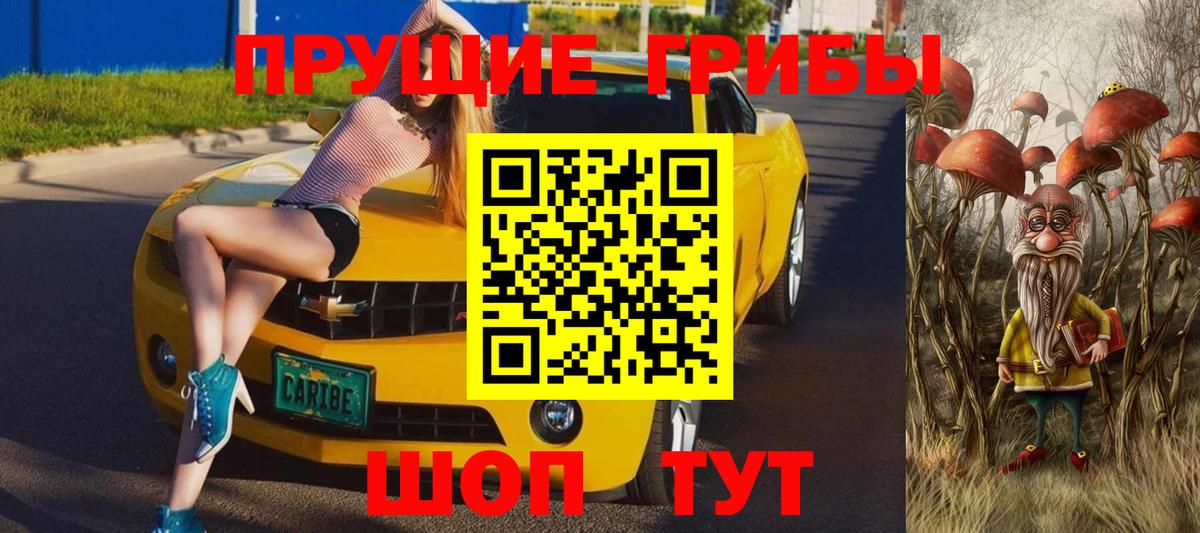Псилоцибиновые грибы мухоморы Апшеронск
