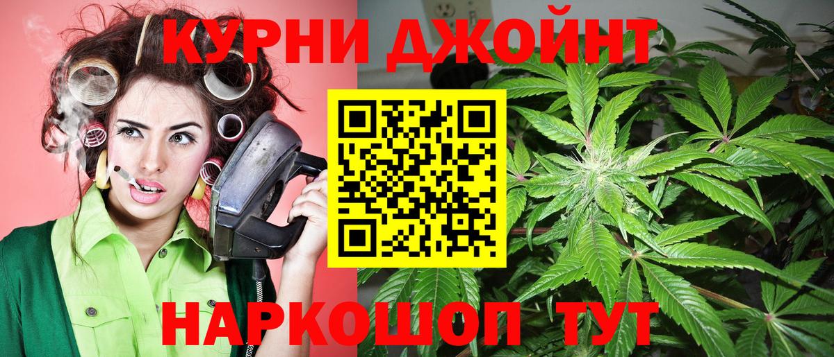 Бошки Шишки MAZAR Апшеронск